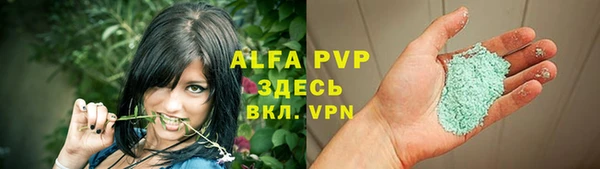 PSILOCYBIN Липки