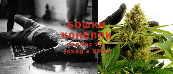 PSILOCYBIN Липки
