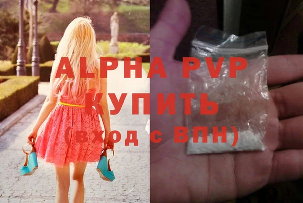 PSILOCYBIN Липки