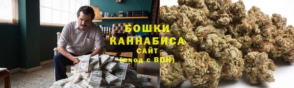 PSILOCYBIN Липки