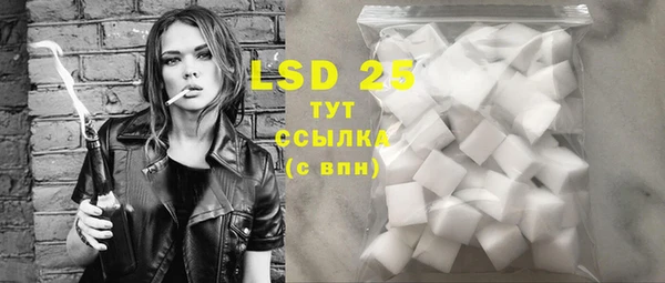 PSILOCYBIN Липки