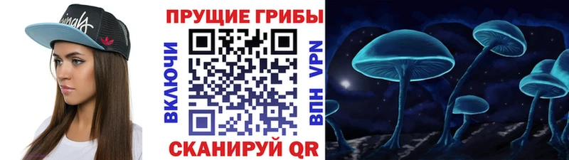 Купить где Пролетарск Псилоцибиновые грибы Psilocybine cubensis